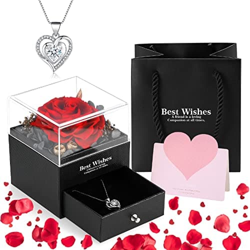 Daover Rose Eternelle avec Collier, Vraie Rose Préservée avec Collier en Forme Coeur, Collier Femme boîte de Roses, Idee Cadeau Femme Original Utile pour Anniversaire Maman, Noel, Saint Valentin