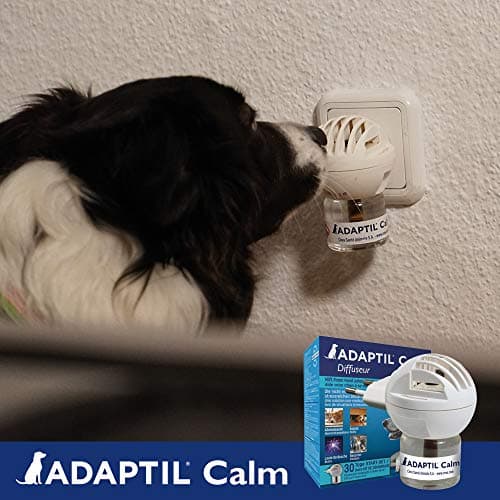 ADAPTIL Calm – Anti-stress pour chien – Diffuseur + Recharge 48 ml