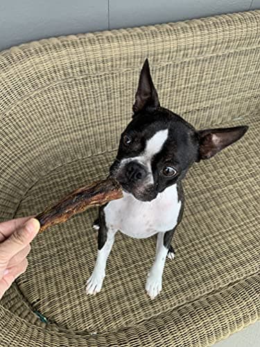 Friandises pour Chiens, Queue de Buffle, 100% Naturel, Nutritif et à Mâcher pour Les Petits, Moyens et Grands Chiens. 200g.
