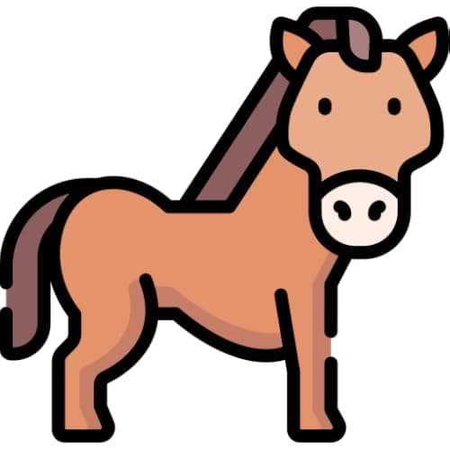 Awesome Horse Videos