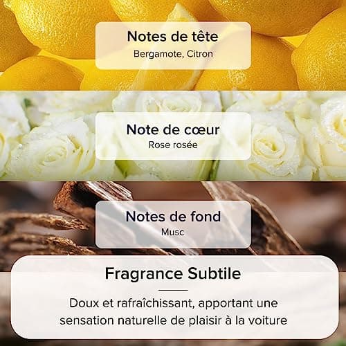 Recharge de Désodorisant de Voiture Ceeniu CF9, Lot de 3, Longue Durée (6 Mois) Parfum Naturel Français
