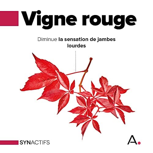 ARAGAN Synactifs Lot de 2 Circactifs | Complément Alimentaire Circulation, Jambes Lourdes | Vigne Rouge, Raisin, Citron, Sélénium, Huile essentielle | 60 gélules | 1 mois de prise Fabriqué en France