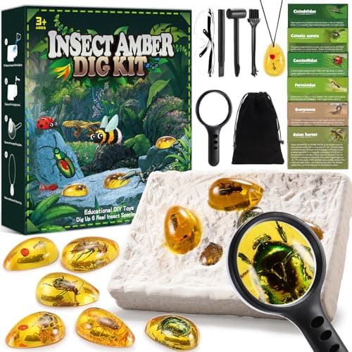 Jouet Garcon 6 7 8 9 10 Ans, Geebiiny Fossil Experiences Scientifiques Enfants Cadeau Garcon 5-12 Ans Pierre Precieuse Kit Exploration Enfant Jeux Garcon 6-11 Ans Kits Éducatifs de Sciences