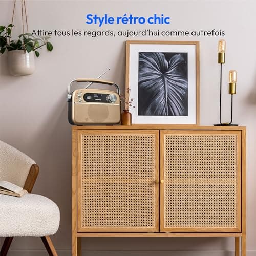 MEDION E66809 Dab Plus Radio Solaire Portable (Design rétro, Panneau Solaire, Bluetooth, Dab+ FM, Batterie intégrée, Port USB, AUX, minuteur de Mise en Veille, antenne télescopique) cuivre