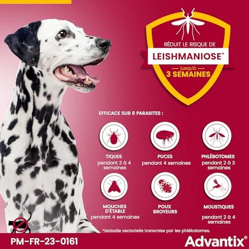 Advantix Chien Moyen entre 10 et 25 kg – Pipettes pour chien contre 6 parasites – Traitement et protection pour votre chien pendant 4 semaines – 6 x 2,5 ml
