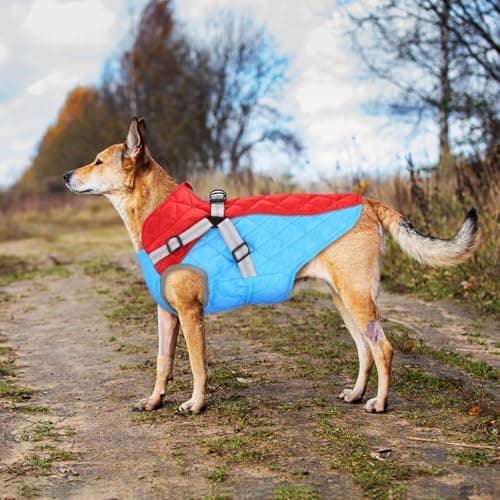Oslueidy Manteaux d'hiver, Imperméable Veste pour Chien, Animal Chiot Veste Gilet, Chiot Vêtements Coat, Veste d'habillement Chien pour Petits Chiens (Rouge, XS)