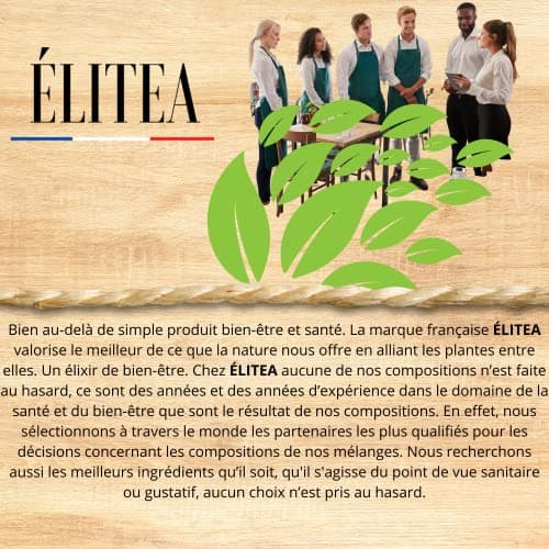 Élitea Feuille de Séné cassia Naturel en Tisane Infusion Stimulation du Transit Intestinal Nettoyantes 100g Extra fort Detox Drainage Laxatif Diuretique