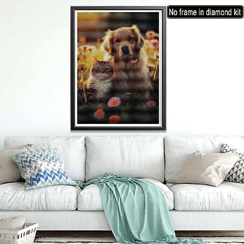 Diymood 5D Kit Complet de Broderie Diamant Chats - Peinture Diamant Chiens Rond Point de Croix - Décoration Murale pour Chambre, DIY Diamond Painting Maison 30x40cm