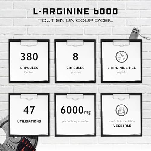 L-Arginine - 380 capsules végétaliennes - 6000 mg de L-Arginine HCL végétale par portion journalière (= 4980 mg de L-Arginine pure) - Acide aminé - Fortement dosé