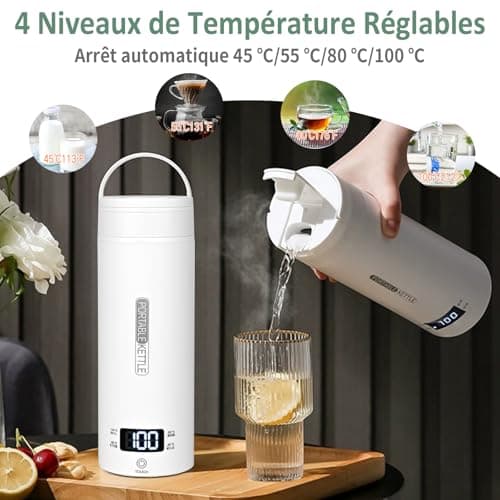 Dreamhigh® Bouilloire de Voyage 450ml, Mini Électrique 300W, Chauffe Eau Portable pour Café, Lait, Thé (220V)