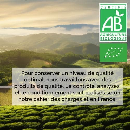 Herbes du Monde - Moringa BIO de qualité supérieur - Moringa oleifera Organic - Complément alimentaire en poudre Riche en Vitamine C - Nutrition Naturelle - 1 sachet de 100g Certifiée AB