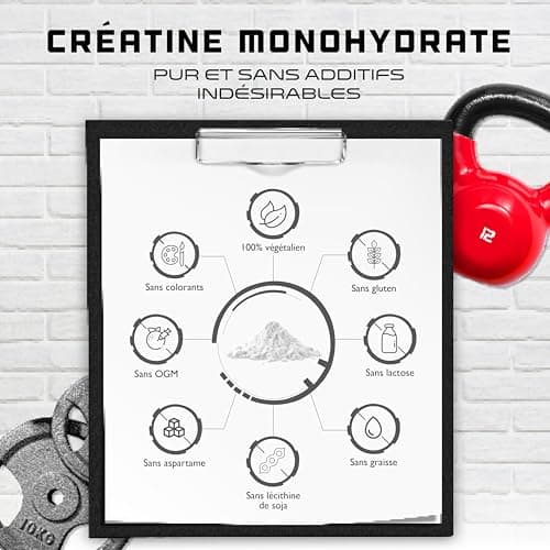 Créatine en poudre - 1kg / 1000 g - pure monohydrate - Solubilité optimale - Vegan - Sans additifs - German Elite Nutrition