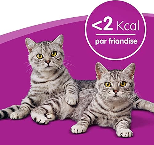 WHISKAS LES IRRÉSISTIBLES – Friandises au boeuf pour chat adulte, croquantes à l'extérieur et tendres à l'intérieur – 8 boîtes de 60g - l'emballage peut varier