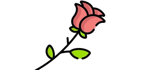 Lovely Flower