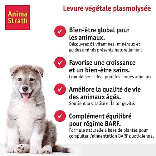 ANIMA-STRATH - Supplément de Levure Végétale - pour Chiens - 61 Micronutriments - Favorise la Santé - Garnitures de Nourriture pour Chiens - Végétarien - Granulés - 100g