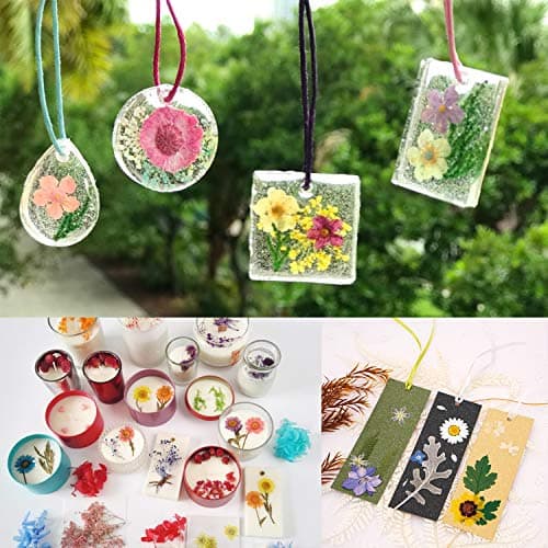 Cinco 90 Pcs Vraies Fleurs et Feuilles Pressées Séchées Pétales Naturels Séchés pour Bougie Résine Bijoux Savon Pendentif pour Ongles Cas De Téléphone Artisanat (Bleu, Violet, Rose, Vert)