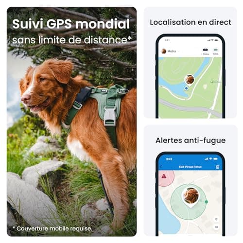 Tractive – Collier GPS pour chien - Élue Marque de l'Année - Localisation globale en direct - Alertes anti-fugue - Moniteur d'activité avec alertes de santé