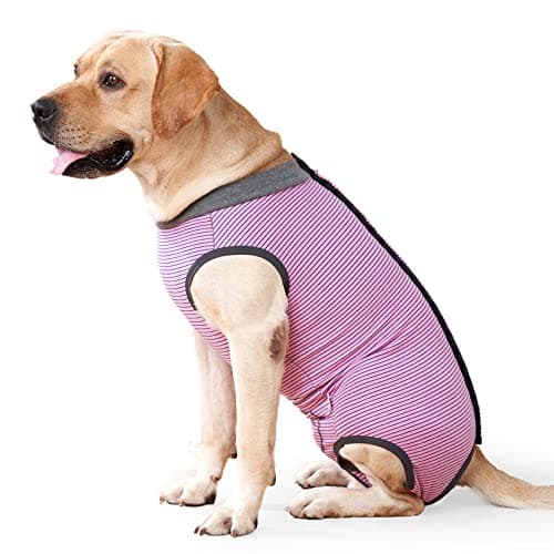 HEYWEAN Body Chien Post operatoire Femelle Combinaison Chien sterilisation Body pour Chien Castration Male Body Medical Déguisements pour Chiens alternatives aux Collerettes pour Chiens