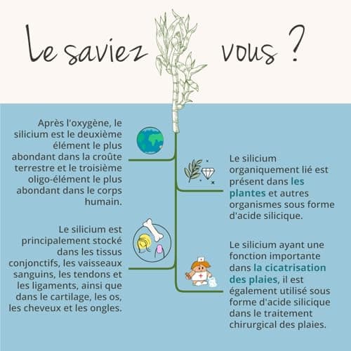 Silicium Organique Vegavero® | 100% BIO & NATUREL - Extrait de Bambou | Sans Additifs | 120 gélules de 150 mg | VEGAN