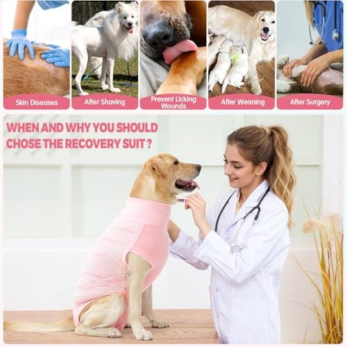 Dotoner Combinaison de Recuperation Chien Body Chien Post Operatoire Femelle Male Chirurgical Chien Body pour Chien après Stérilisation Alternative au collerette Chien Anti lechage