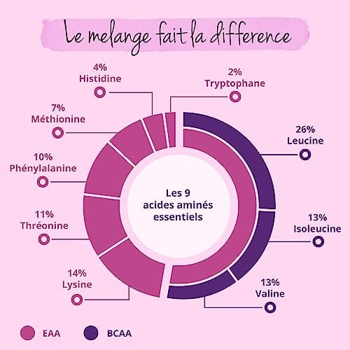 BCAA 2.1.1 | Dosage Elevé : 3000 mg | 8 Acides Aminés Essentiels (EAA) + Histidine | 100% NATUREL | Récupération + Développement Musculaire | Sans Additifs & Vegan | 300 Comprimés | Vegavero®