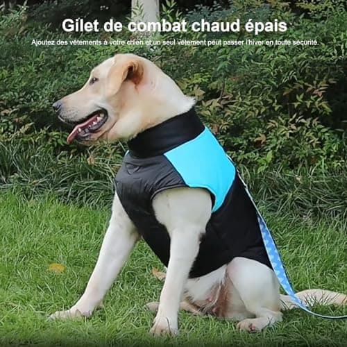 Warm Dog Coats Waterproof Winter Warm Jacket Puppy Clothes Vest for Small Medium Large Dogs (L, Bleu)