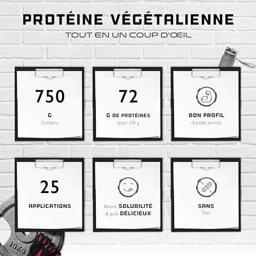 Proteine Poudre Vegan - Protéines végétales de pois, riz, amande et chanvre - Sans soja - Délicieuses & crémeuses - (750 g, Chocolat)