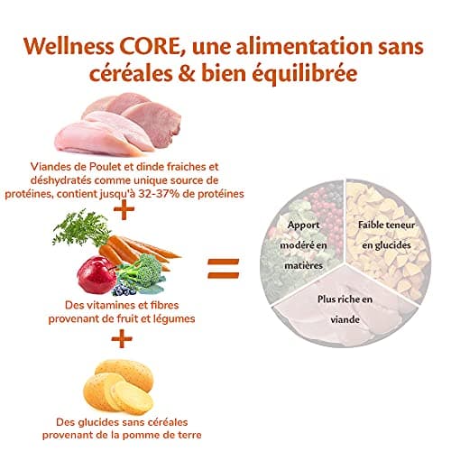 Wellness Core Original, Croquettes pour Chien de Petite Taille, Naturelles et Sans Céréales, Dinde/Poulet, 5 kg
