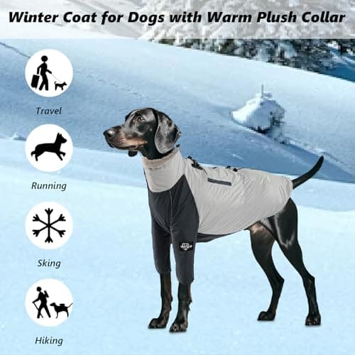Manteau pour chien - Chaud - Imperméable - Coupe-vent - Matériau et doublure en cachemire - Manteau de pluie pour chien avec cordon réglable - Poche utilitaire - Manteau d'hiver pour chien avec