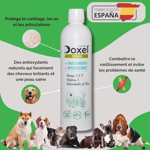 Doxel Senior 1L | Huile pour Chien Agés | Anti-Inflammatoire | Supplément | Omega 3 6 9| Vitamine E | Chien Adultes | Anti-âge Articulations et Muscles Saines | Arthrose Chien | Huile de Camelina