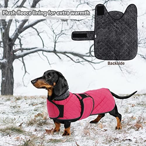 Geyecete-Manteau Chaud imperméable pour Teckel, Manteau d'hiver pour Chien avec Doublure en Polaire Chaude et Bandes réglables,l'hiver Veste pour Petit et Moyen Chien-Rose-S