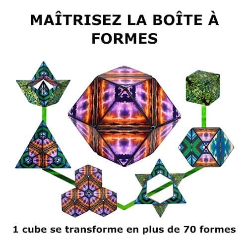 SHASHIBO Cube Transformable – Cube Antistress breveté et primé avec 36 aimants rares sur Le thème de la Terre – Peut Prendre Plus de 70 Formes (Elements)