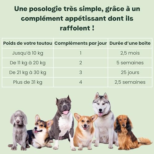 BESTI - Digestion | 75 Compléments Alimentaires Premium pour Chiens | Probiotiques, Prébiotiques, Postbiotiques | Flore Intestinale | Marque Française - Formule Vétérinaire | Au Poulet | 300 GR