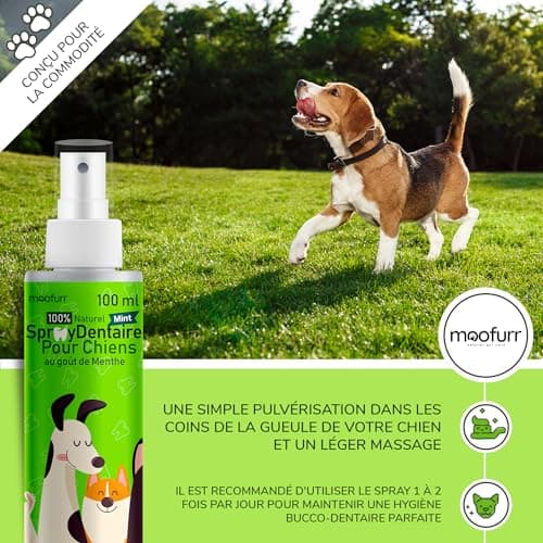 Moofurr Dentifrice Chien Spray 100ml - pour Le Detartrage Dentaire des Chiens, Anti-Tartre Dentaire, Rafraichissant pour la Mauvaise Haleine du Chien - Hygiene et Sante Naturelle du Chien a la Menthe