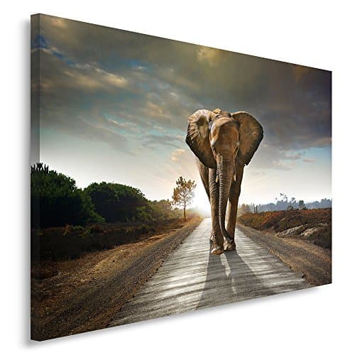 Feeby Impression Sur Toile Éléphant Brun 60x40 cm Tableaux Tableau Mural Image Moderne Photo Décoration Murale Artistique Photographie Design Chambre Salon Cuisine Gris Vert