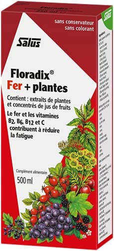 Salus Floradix Fer + Plantes - Formule Liquide Riche en Fer - Enrichi en Vitamine C pour une Meilleure Absorption - 500 ml