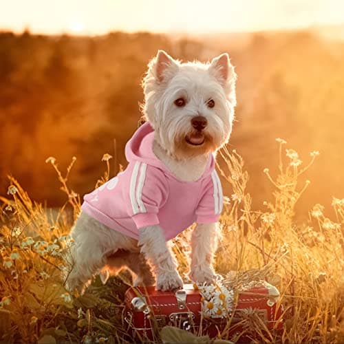 Dolahovy Chien À Capuche Vêtements pour animaux de compagnie Pulls pour chiens d'automne et d'hiver Déguisements de chiot Chien chandail Gilet pour petits chiens moyens chats Chihuahua Teddy (M, Rose)