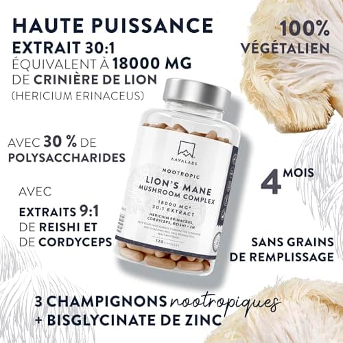Lions Mane 18000mg 30:1 avec Cordyceps Sinensis, Reishi Ganoderma et Zinc | Criniere de Lion Champignon Hericium Erinaceus Nootropique Puissant Memoire et Concentration Mushroom Complex - 120 Gelules