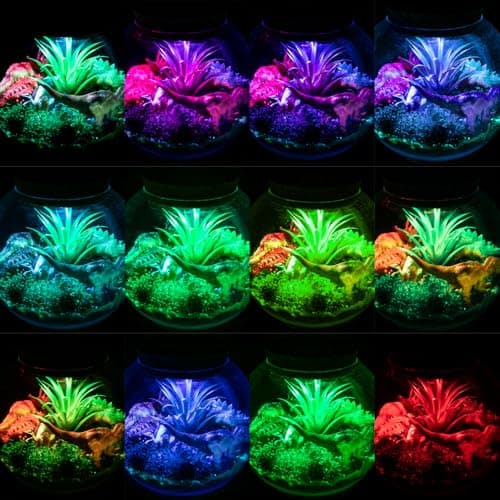ONLYFUN Dinosaure Terrarium Set pour Les Enfants - Cadeau d'anniversaire pour Les garçons Filles 4, 5, 6, 7, 8-12 Ans, Jouets de Dinosaure, Ensemble d'artisanat, Noël Pâques Cadeaux Enfants.