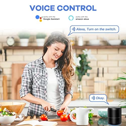 Prise Connectée, GreenSun Prise Programmable, Prise Compteur d'Énergie, Prise Connectée Alexa, Prise Minuteur, Prise Telecommande sans fil, 2PCs