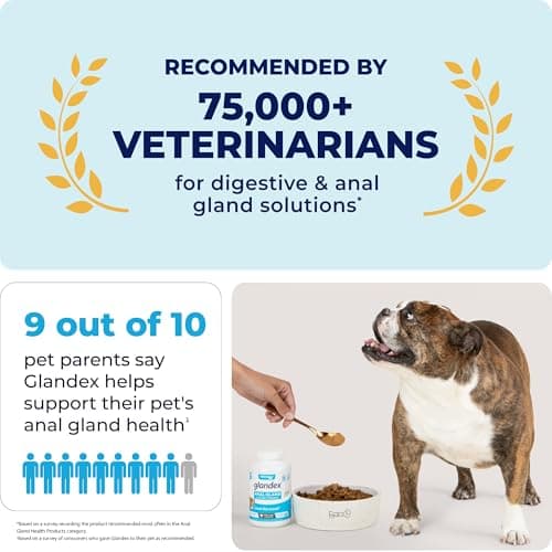 Glandex Supplément de Fibres de anale pour Chien et Chat avec Citrouille, enzymes digestives et probiotiques - Intestin et Digestion sains - Boot The Scoot - par Vetnique Lab (70g)