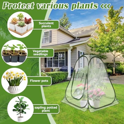 Mini Serre de Jardin 70x70x80 cm Tente d'Hivernage Petite Serre en PVC avec Porte Zippée Pas de Montage Nécessaire pour Plantes Fleurs Légumes Interieur Exterieur
