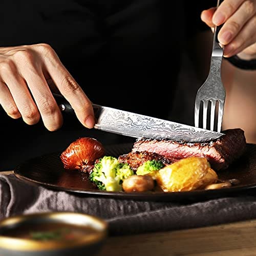 Sunnecko Couteaux à Steak Damas 6 Pièces, Coffret de Couteaux de Table en Acier Damassé 73 Couches, Set Couteau Cuisine Japonais Lame 13cm, Couteau Viande Manche G10
