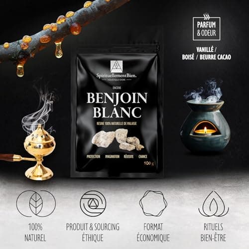 Encens Naturel - Bonheur - Purification - Protection - Protection pour Fumigation Brule Parfum ou encensoir (Benjoin Dragon Fly, 100 GR)