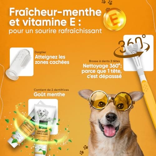 Brosse a Dents Chien 3 Têtes,1 Doigtier, Kit Dentaire Dentifrice Chien 2 x 100g - Dentifrice Haleine Fraîche, Gout Menthe - Élimine Plaque Tartre & Mauvaise Haleine - Soins des Dents pour Chiens
