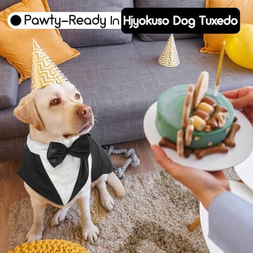 Hjyokuso Vetement Chien, Smoking, Noeud Papillon, Chemises pour Chiens, Déguisements pour Petites, Moyennes et Grandes Tailles, Costume pour Mariages et Noël - Noir M