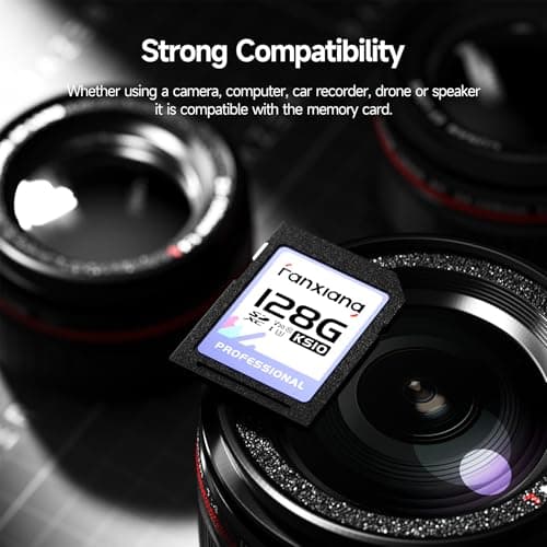fanxiang Carte mémoire SDXC UHS-I 128 Gox2 (V30, Vitesse de Transfert 100 Mo/s, U3, Vidéos 4K UHD, Résistante à la Température)