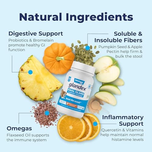 Glandex Supplément de Fibres de anale pour Chien et Chat avec Citrouille, enzymes digestives et probiotiques - Intestin et Digestion sains - Boot The Scoot - par Vetnique Lab (70g)