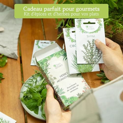 Kit de graines d‘Herbes aromatiques prêt à Pousser OwnGrown, 12 épices et aromates à Planter en Un kit Pratique, Naturelles pour Culture intérieure et extérieure