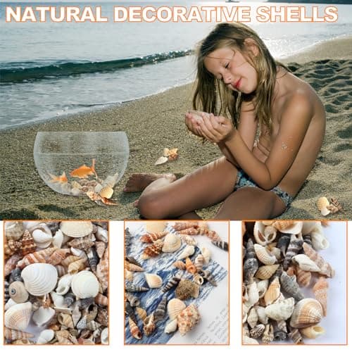 MsTeco Coquillage, 200g Coquillages Décoratifs Naturels Coquillage de Mer Mélange de Coquillages de Plage pour Bricolage Artisanat, Fabrication de Bougies, Réservoir de Poisson Remplissage(0.3-3cm)